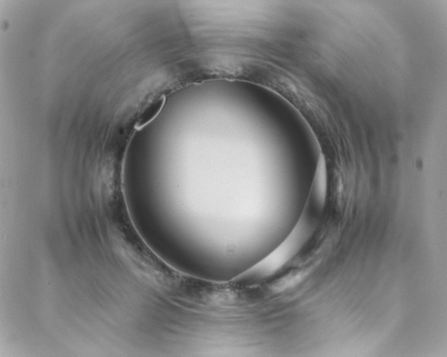 X0000089370600200706151200