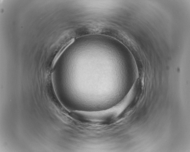 X0000089370601200706151200