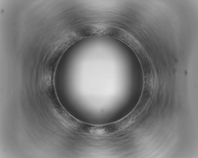 X0000089370602200706151200