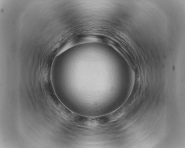 X0000089370604200706151200