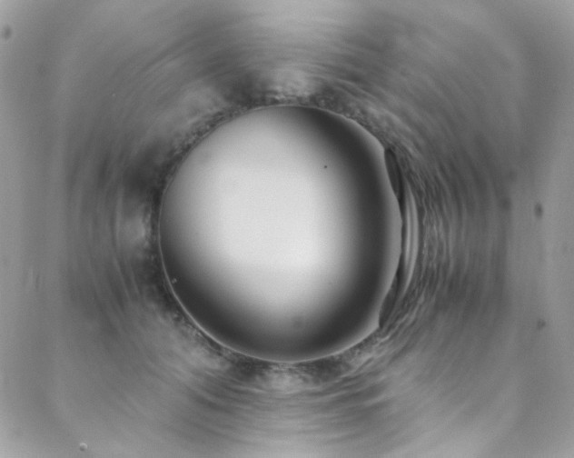 X0000089370608200706151200