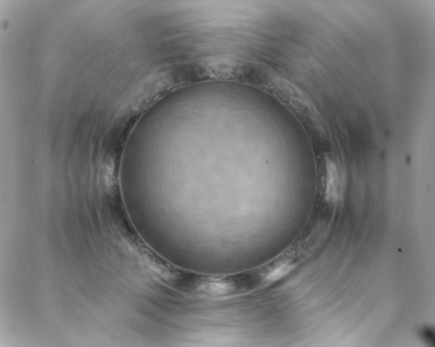 X0000089370610200706151200