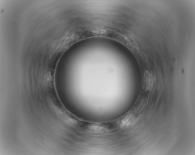 X0000089370614200706151200