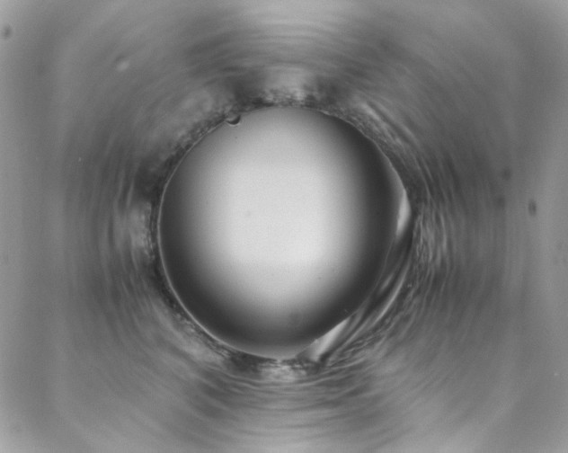 X0000089370616200706151200