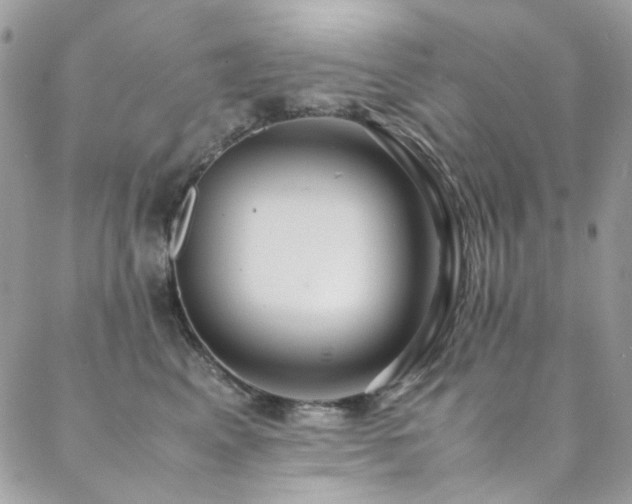 X0000089370617200706151200