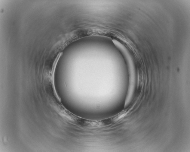 X0000089370621200706151200