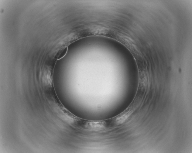 X0000089370622200706151200