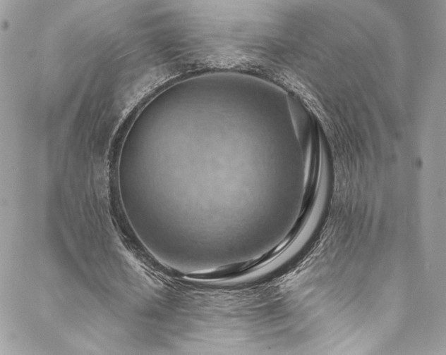 X0000089370626200706151159