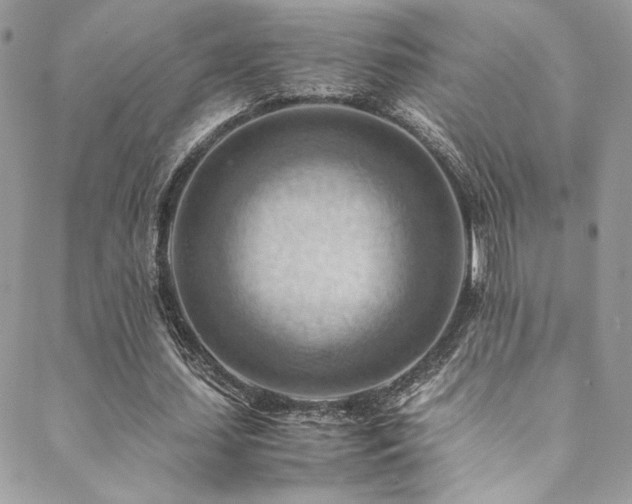 X0000089370627200706151159