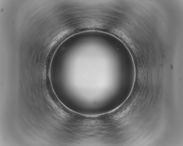 X0000089370629200706151159