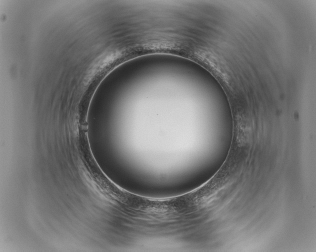 X0000089370631200706151159