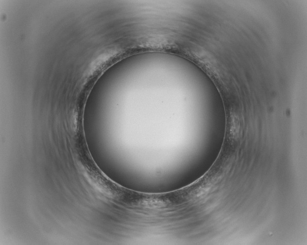 X0000089370636200706151159