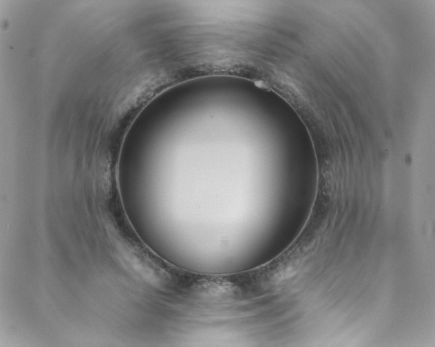 X0000089370642200706151159
