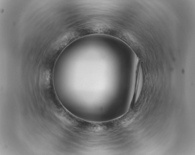 X0000089370646200706151159