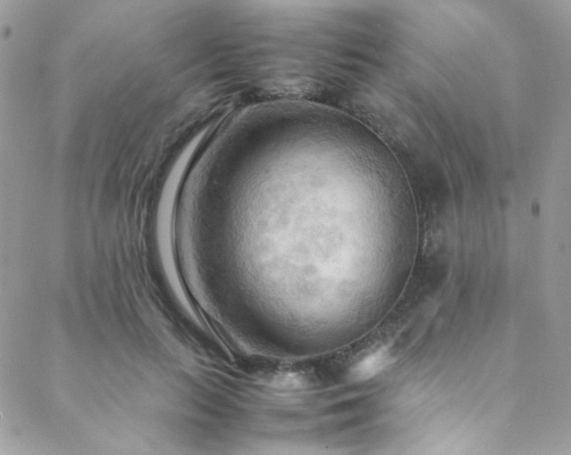 X0000089370647200706151159