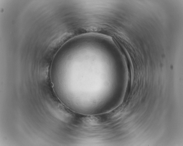 X0000089370652200706151200