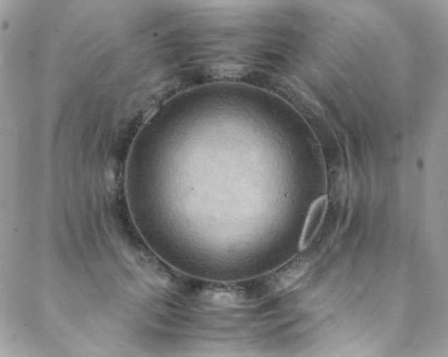 X0000089370655200706151200