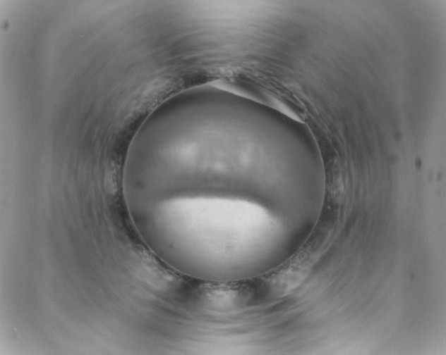 X0000089370658200706151200