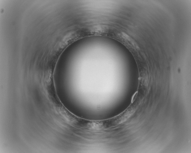 X0000089370660200706151200
