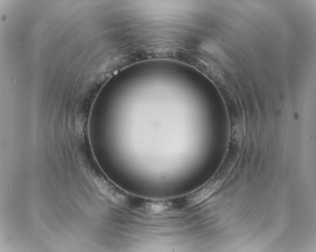 X0000089370662200706151200