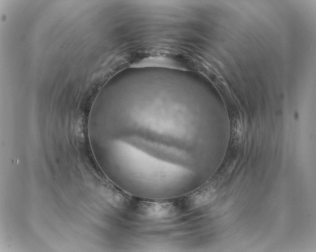 X0000089370663200706151200