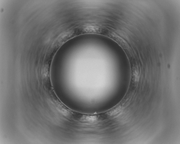 X0000089370665200706151200