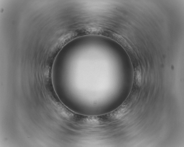 X0000089370668200706151200
