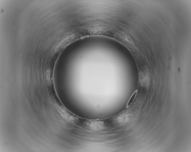 X0000089370670200706151200