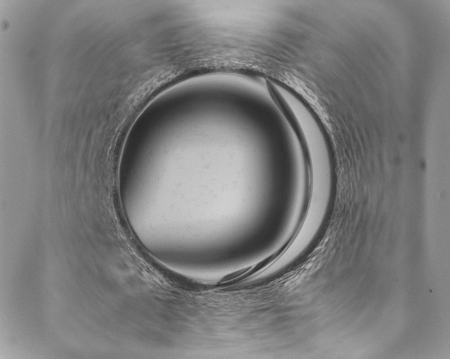 X0000089370673200706151159
