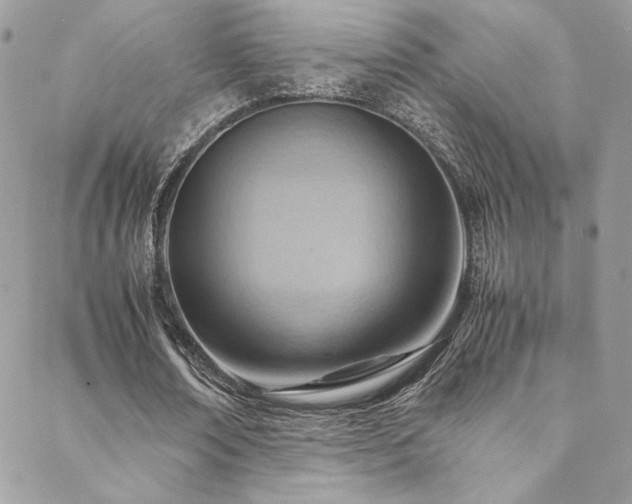 X0000089370674200706151159