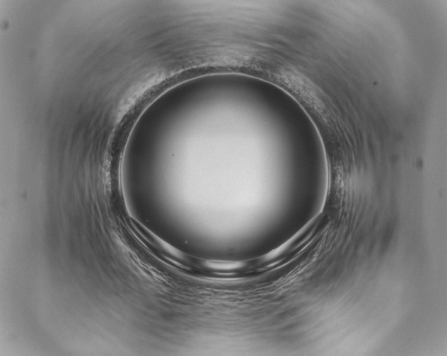 X0000089370676200706151159