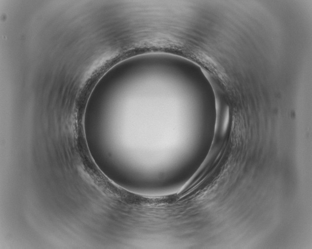 X0000089370680200706151159