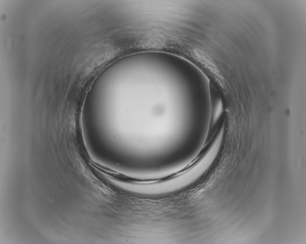 X0000089370681200706151159