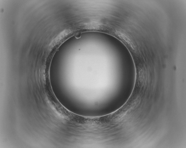 X0000089370682200706151159