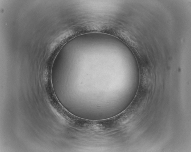 X0000089370683200706151159