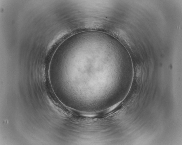 X0000089370684200706151159
