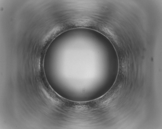 X0000089370686200706151159