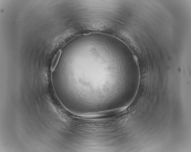 X0000089370688200706151159
