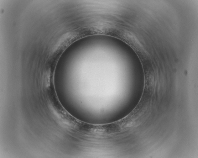 X0000089370694200706151159