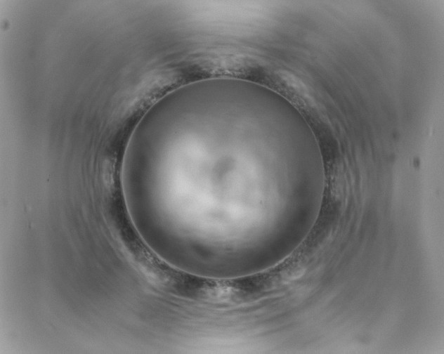 X0000089370695200706151159