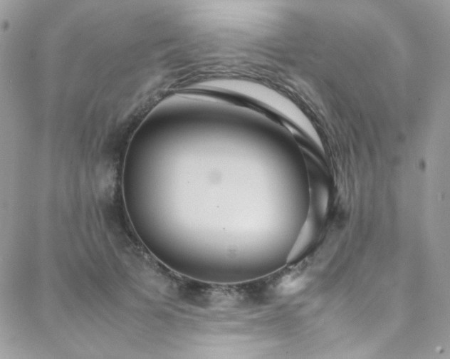 X0000089370697200706151159