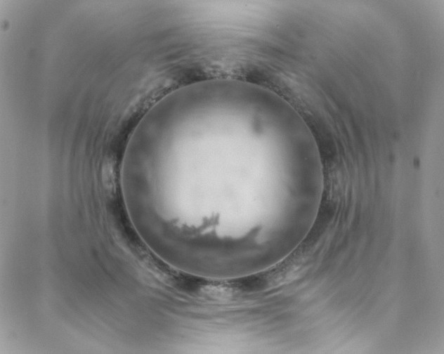 X0000089370699200706151159