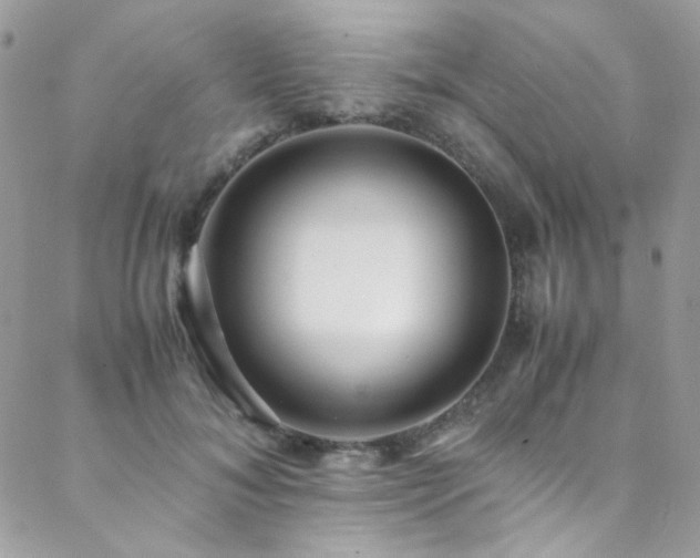 X0000089370700200706151159