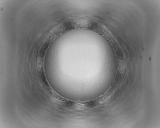 X0000089370701200706151159