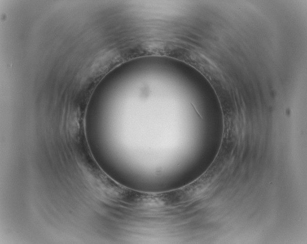 X0000089370702200706151159