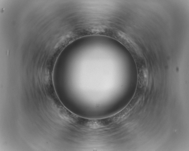 X0000089370704200706151159