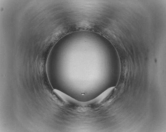 X0000089370708200706151159