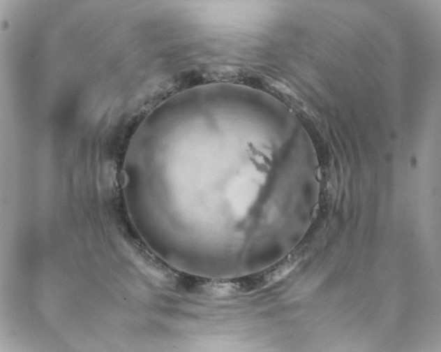 X0000089370711200706151159