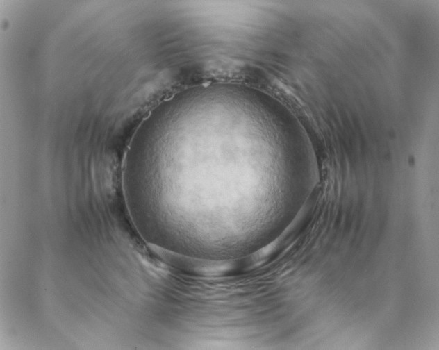 X0000089370712200706151159