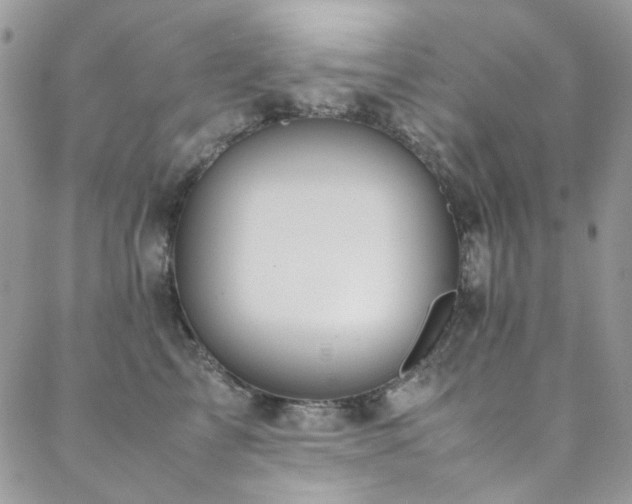 X0000089370713200706151158